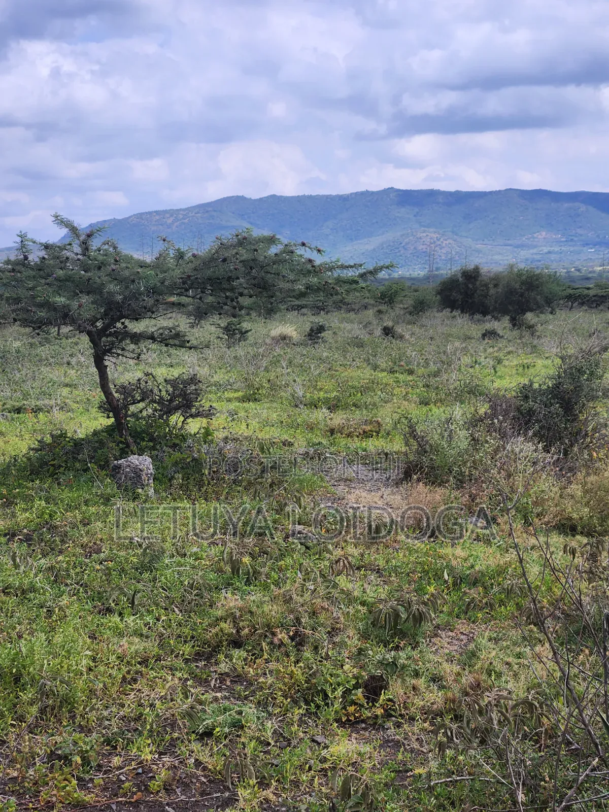 49 Acres Ngong-Kisamis, Off Magadi Road