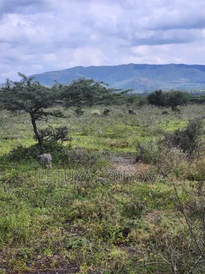 49 Acres Ngong-Kisamis, Off Magadi Road