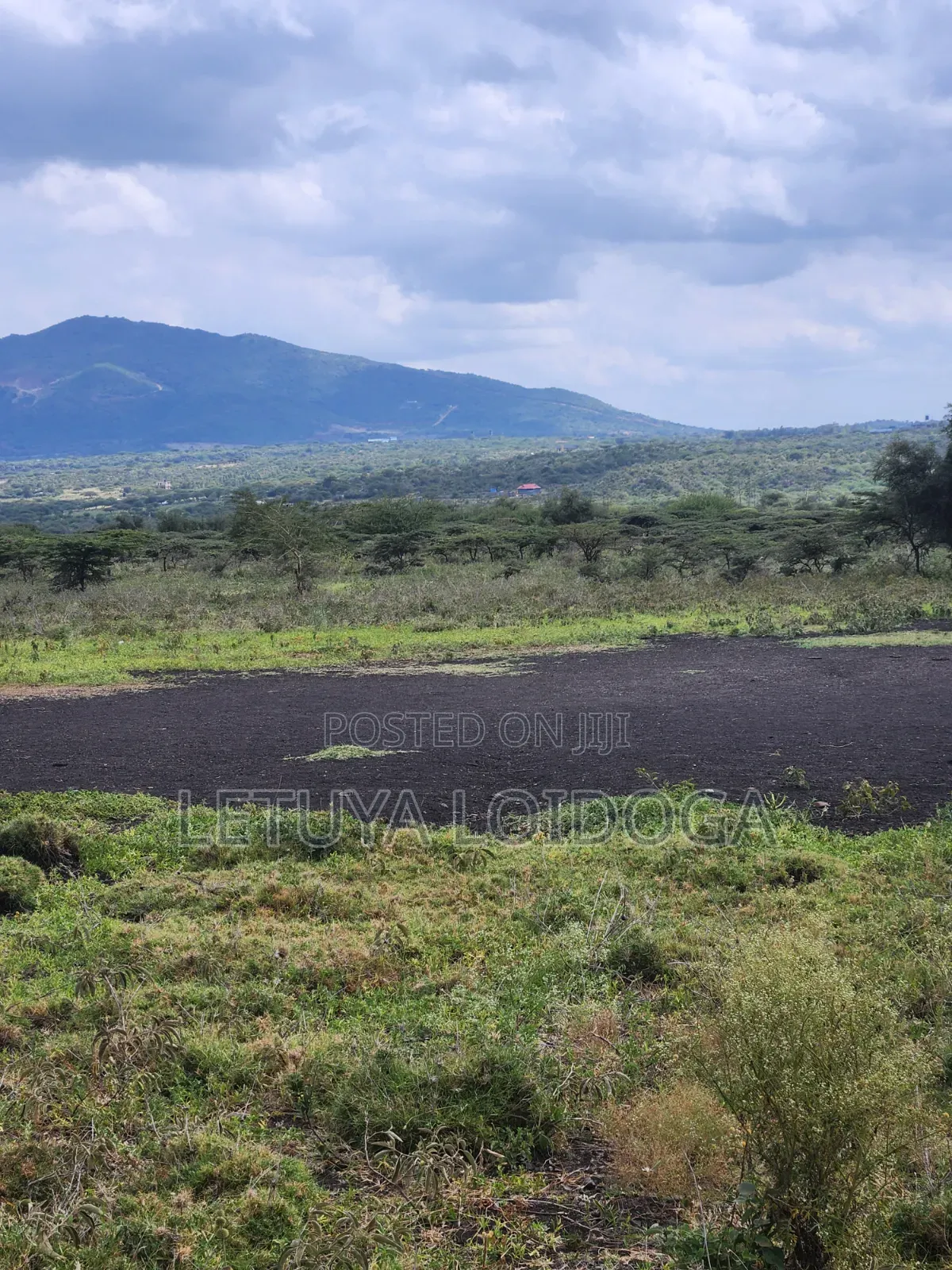 49 Acres Ngong-Kisamis, Off Magadi Road