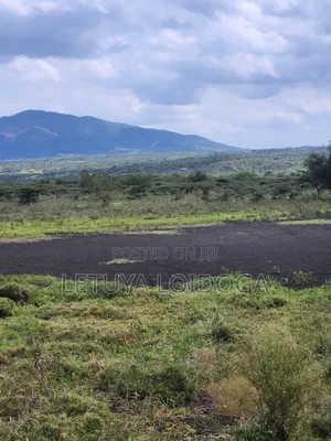 49 Acres Ngong-Kisamis, Off Magadi Road