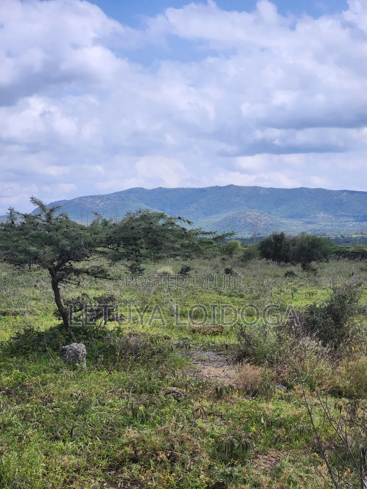 49 Acres Ngong-Kisamis, Off Magadi Road