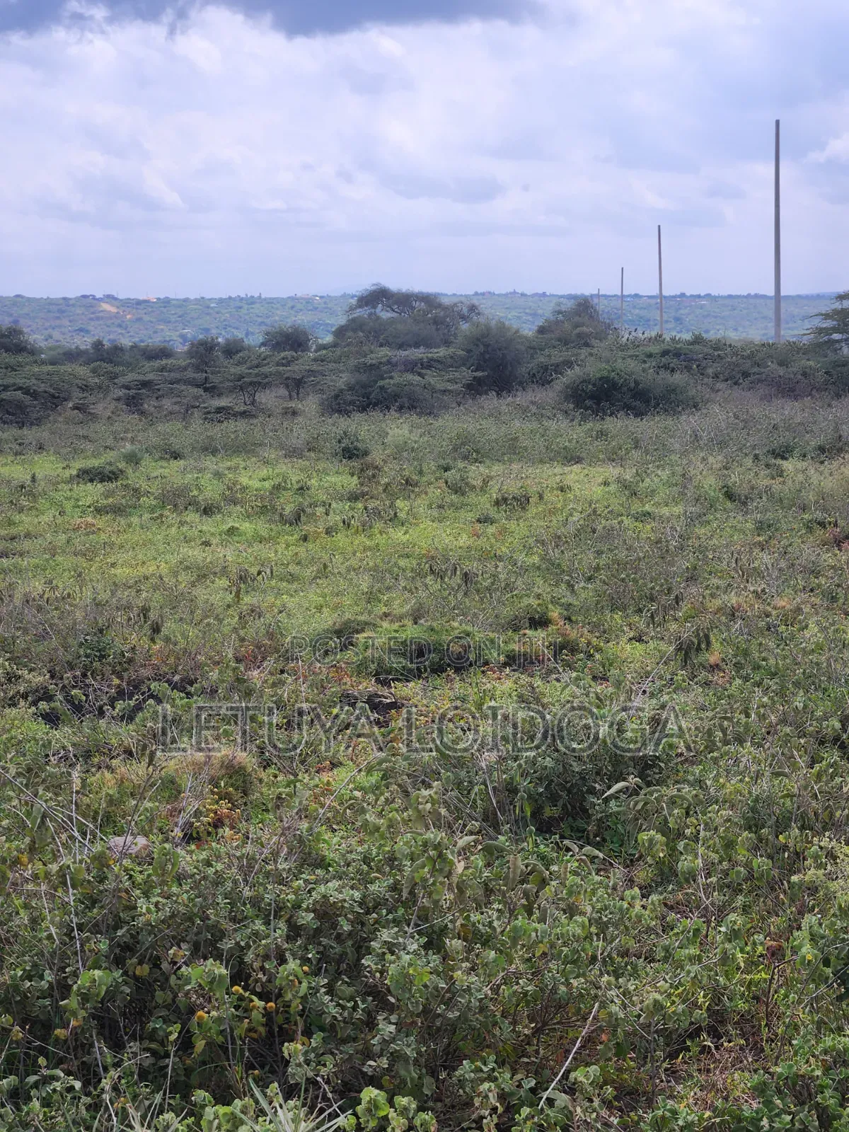 49 Acres Ngong-Kisamis, Off Magadi Road