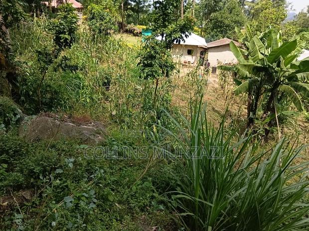 Land for Sale - thumbnail 3