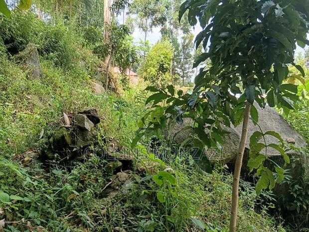 Land for Sale - thumbnail 4