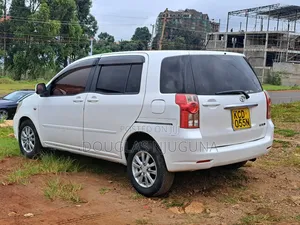 Toyota Raum 2008 White