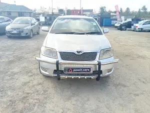 Toyota Corolla Fielder 2005 Silver