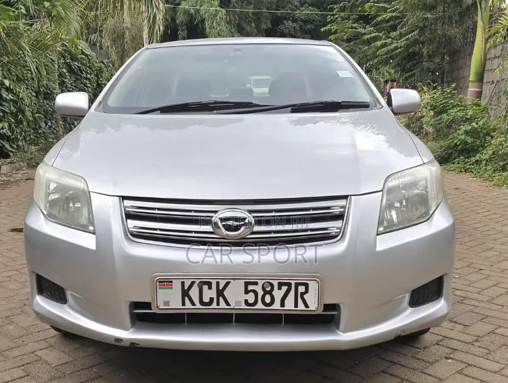 Toyota Axio 2010 Silver