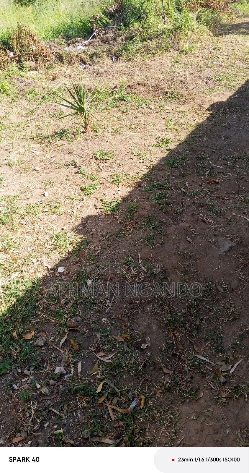 A Shamba on Sale