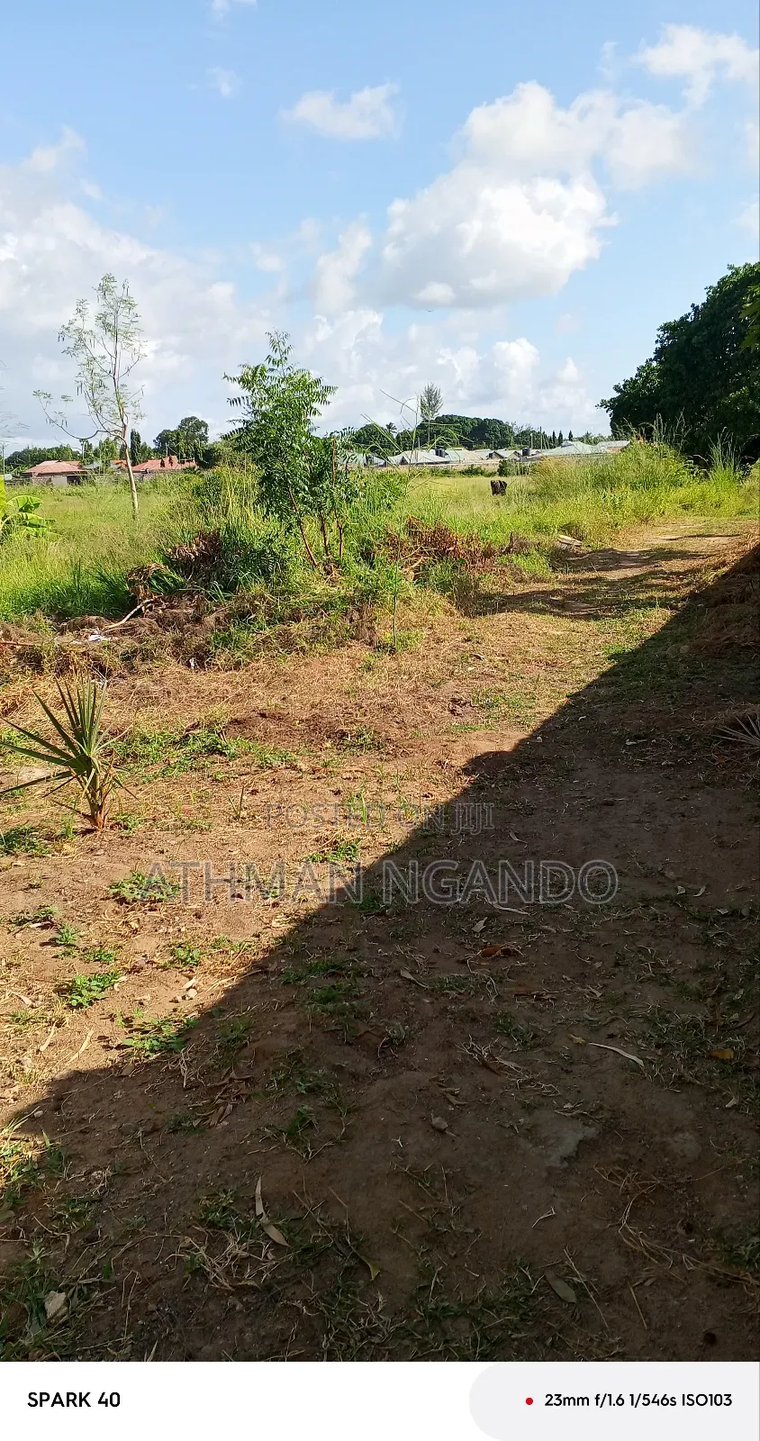 A Shamba on Sale