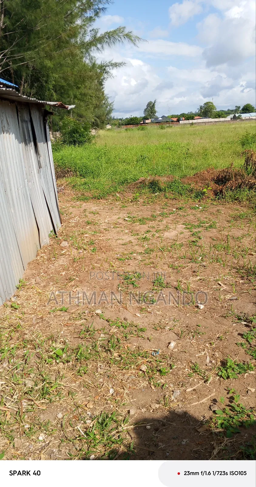 A Shamba on Sale