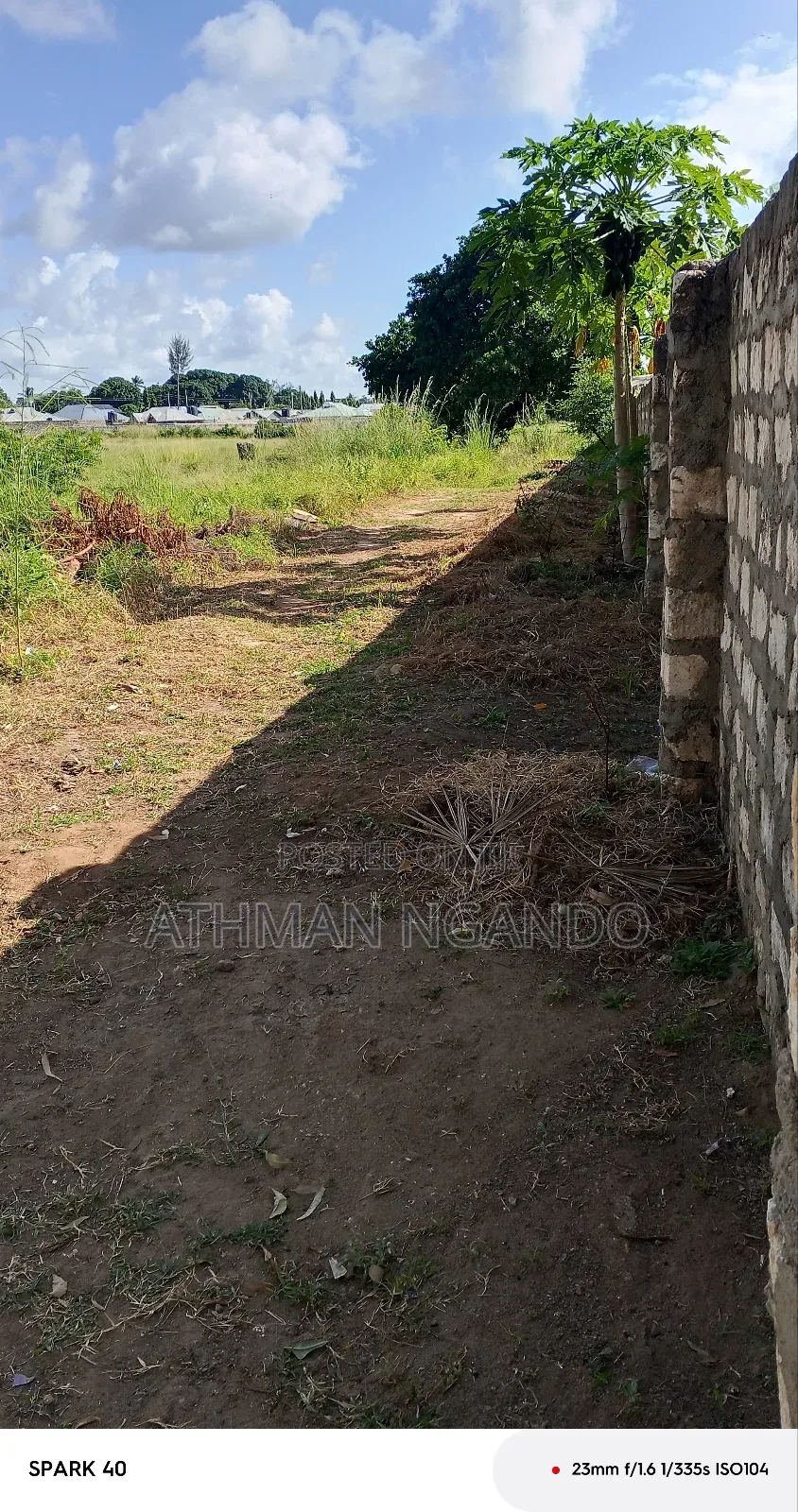 A Shamba on Sale