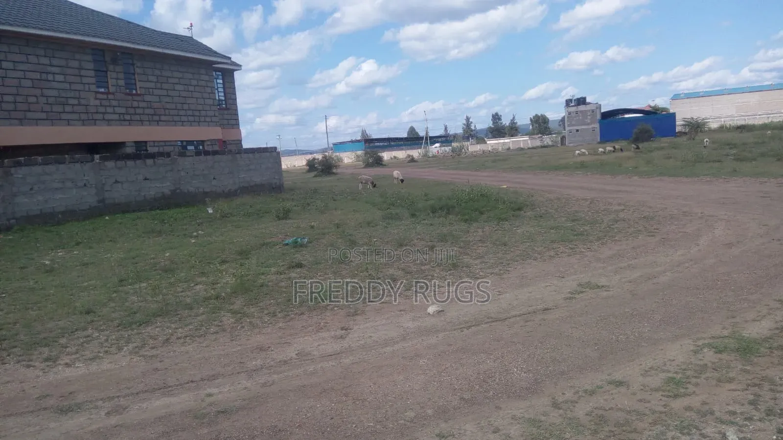 Prime 50*100 Plot for Sale