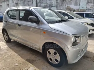 Suzuki Alto 2019 Silver