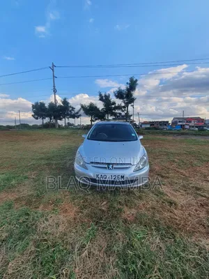 Peugeot 307 2002 Silver