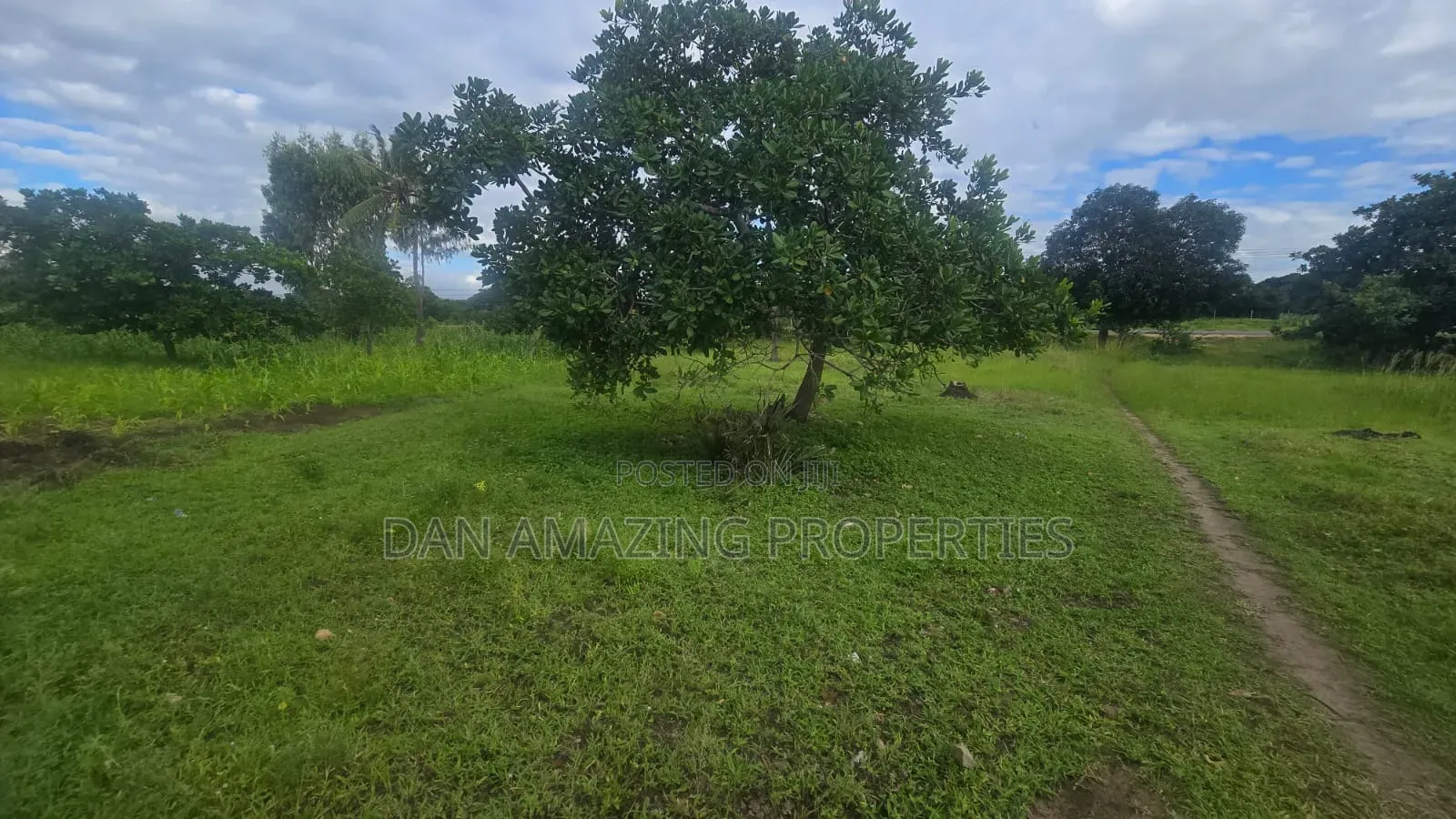 8 Plots of 50 by 100 Along Msa Malindi Highway at Gede for Sale