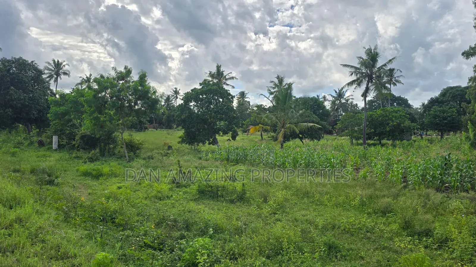 8 Plots of 50 by 100 Along Msa Malindi Highway at Gede for Sale