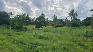 8 Plots of 50 by 100 Along Msa Malindi Highway at Gede for Sale