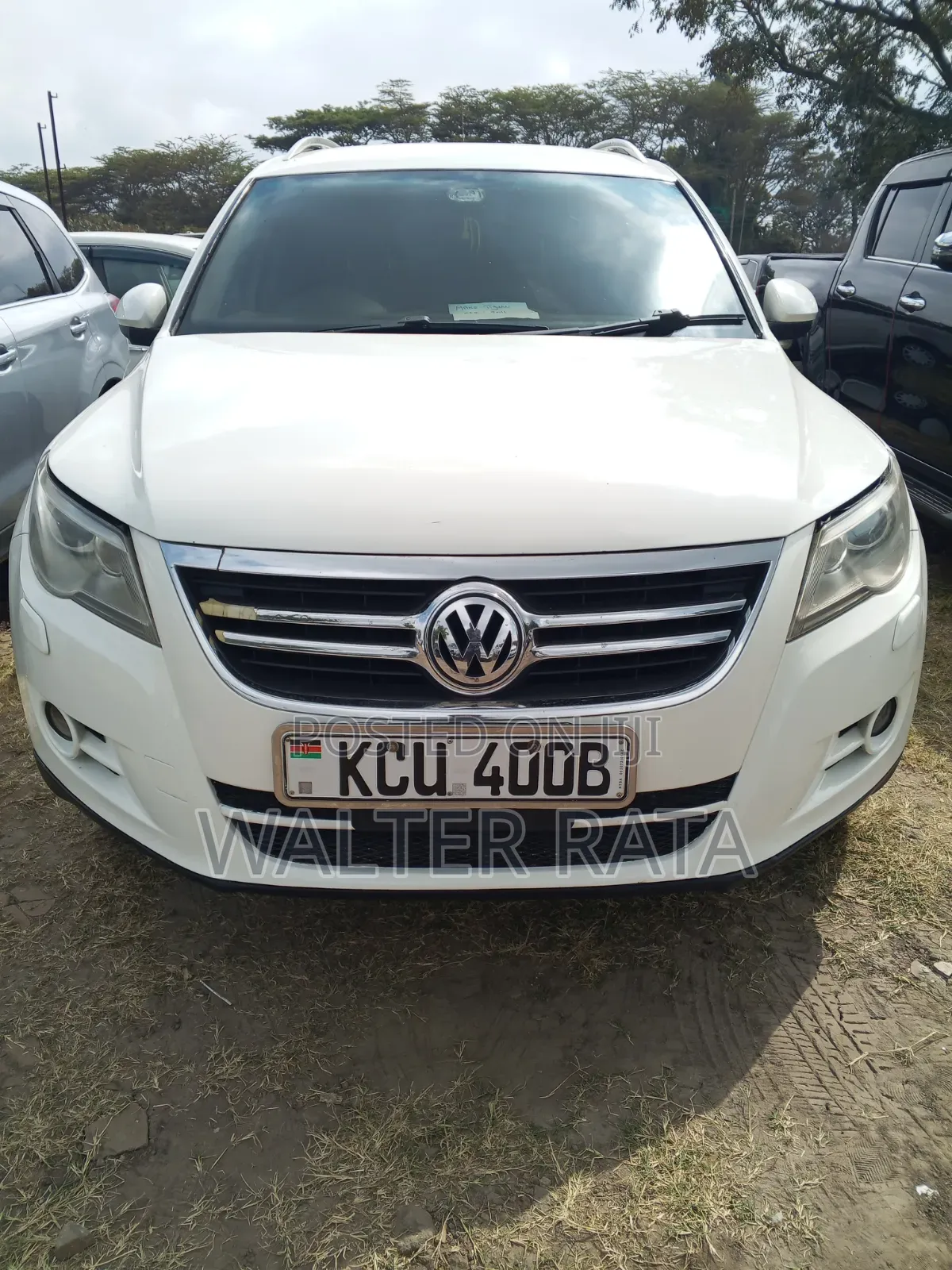 Volkswagen Tiguan 2011 White