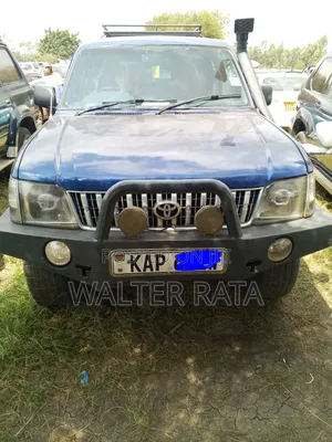 Toyota Land Cruiser 2002 Blue