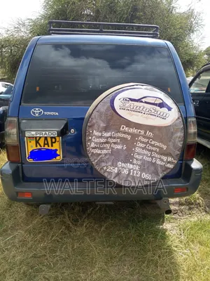Toyota Land Cruiser 2002 Blue