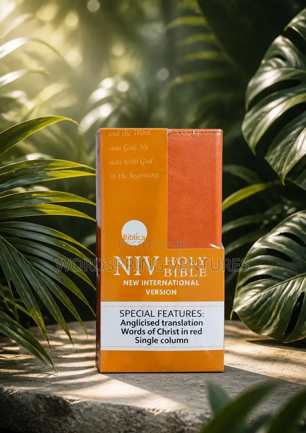 Holy Bible, Trimline Bible