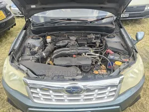 Subaru Forester 2010 Gray