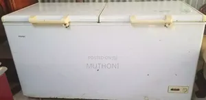 Haier Commercial Double-Door Chest Freezer.