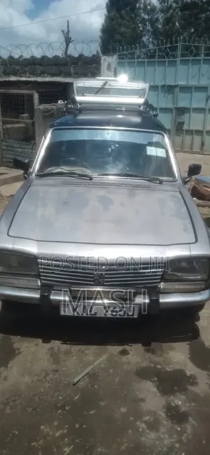 Peugeot 504 2001 Gray