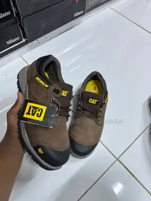 Caterpillars Shoes