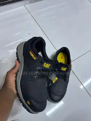Caterpillars Shoes