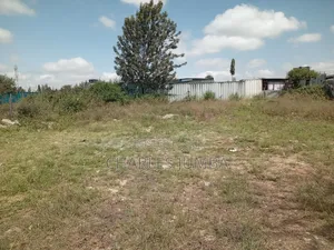 1/8 Plot Second Row