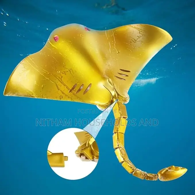 2.4g Remote Control Manta Ray Toy