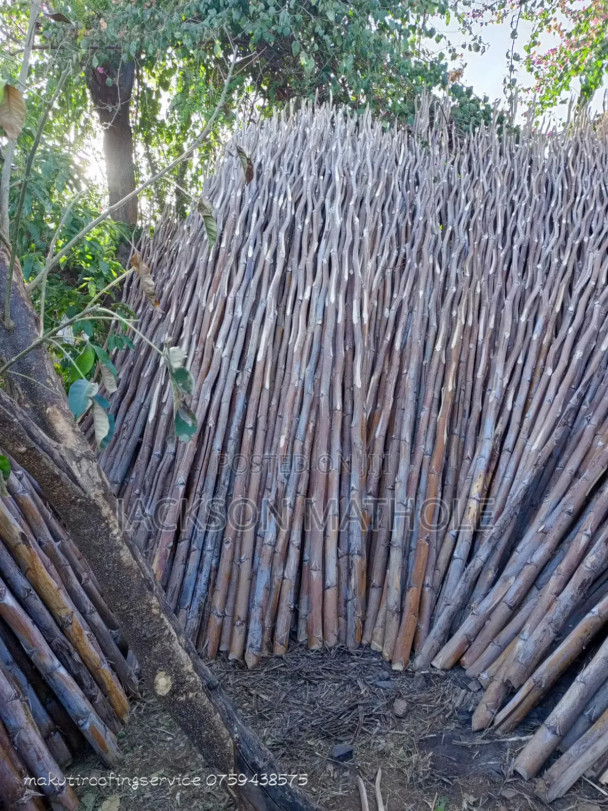 Makonge ( Sisal Poles) for Sale