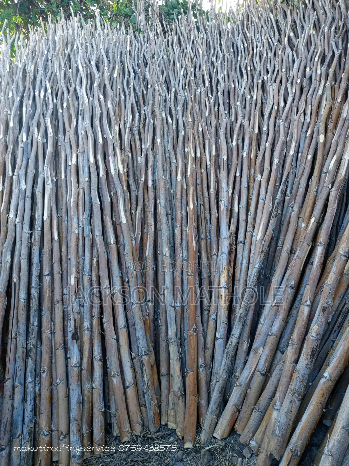 Makonge ( Sisal Poles) for Sale