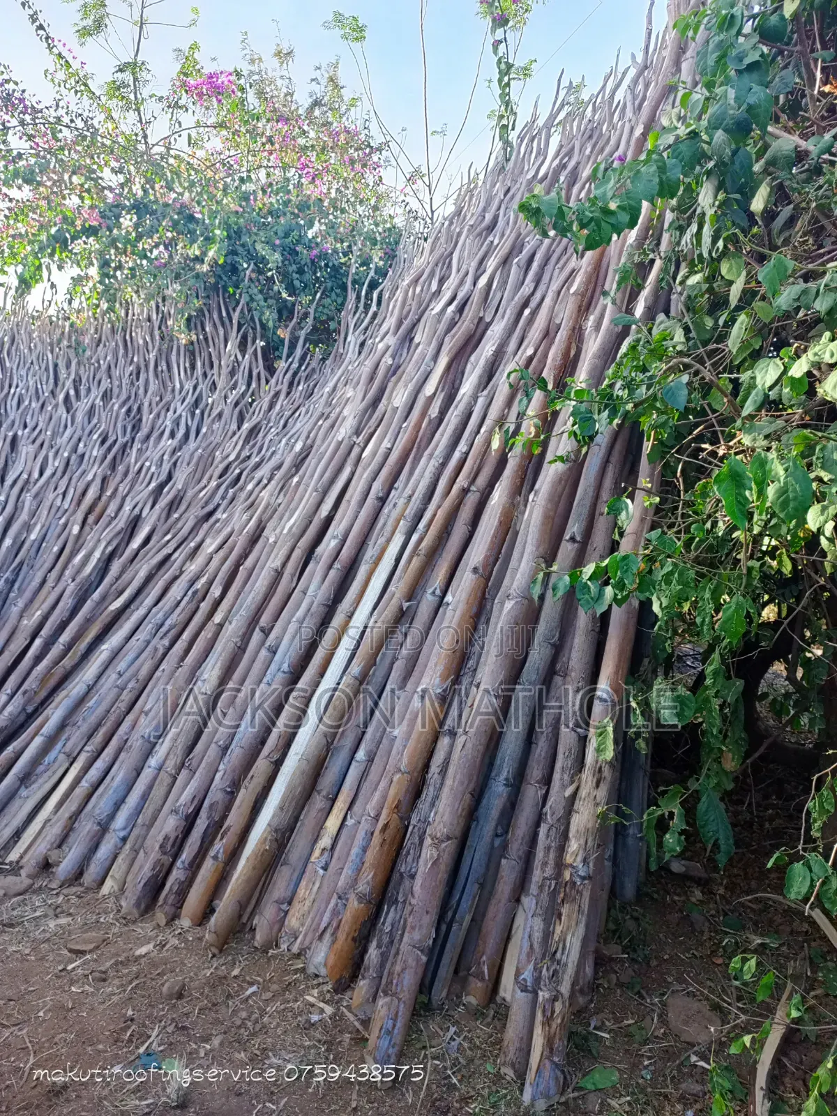 Makonge ( Sisal Poles) for Sale