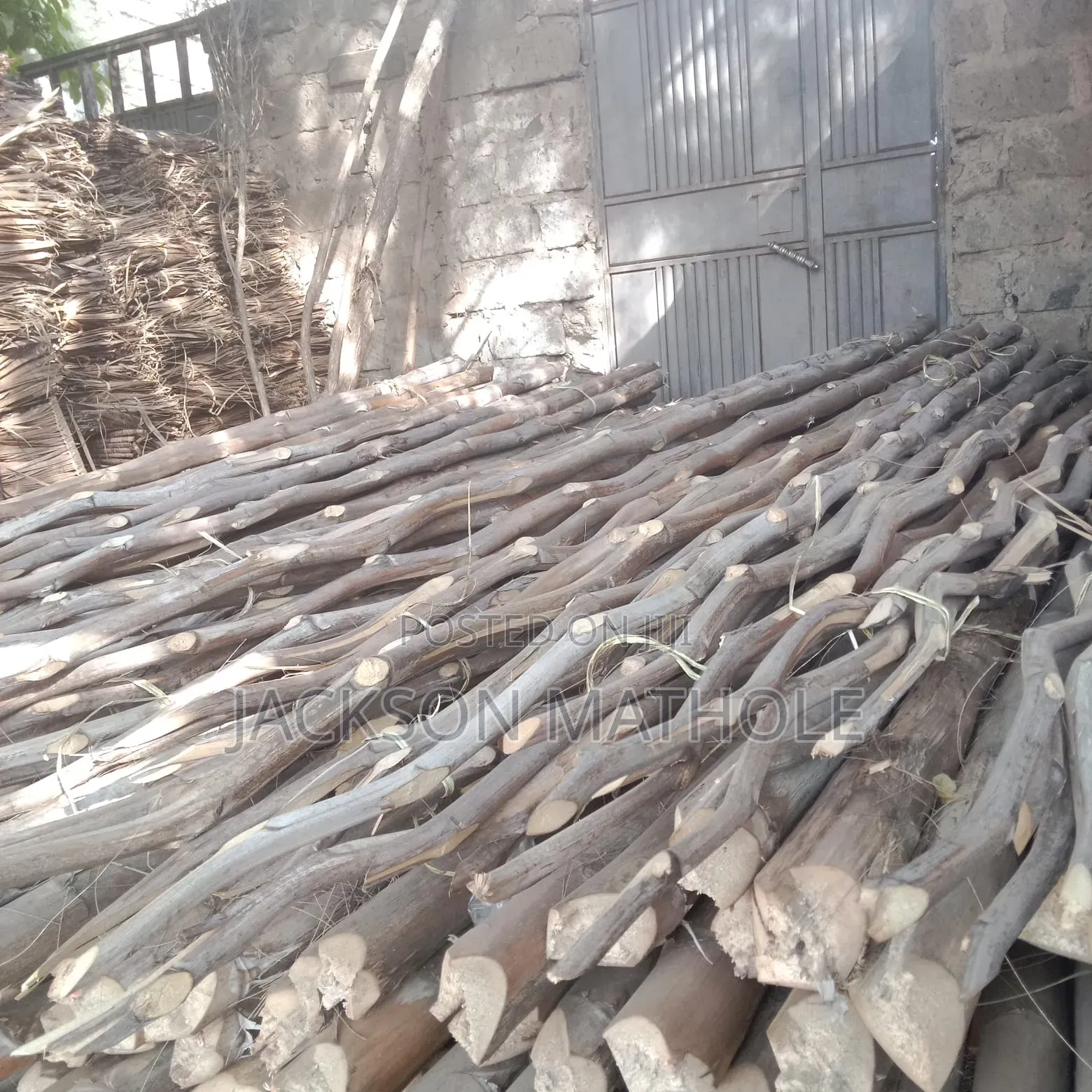 Makonge ( Sisal Poles) for Sale
