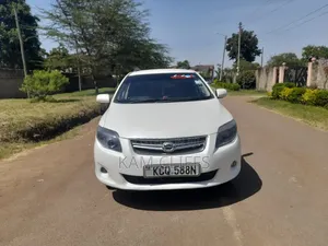 Toyota Corolla Fielder 2011 White