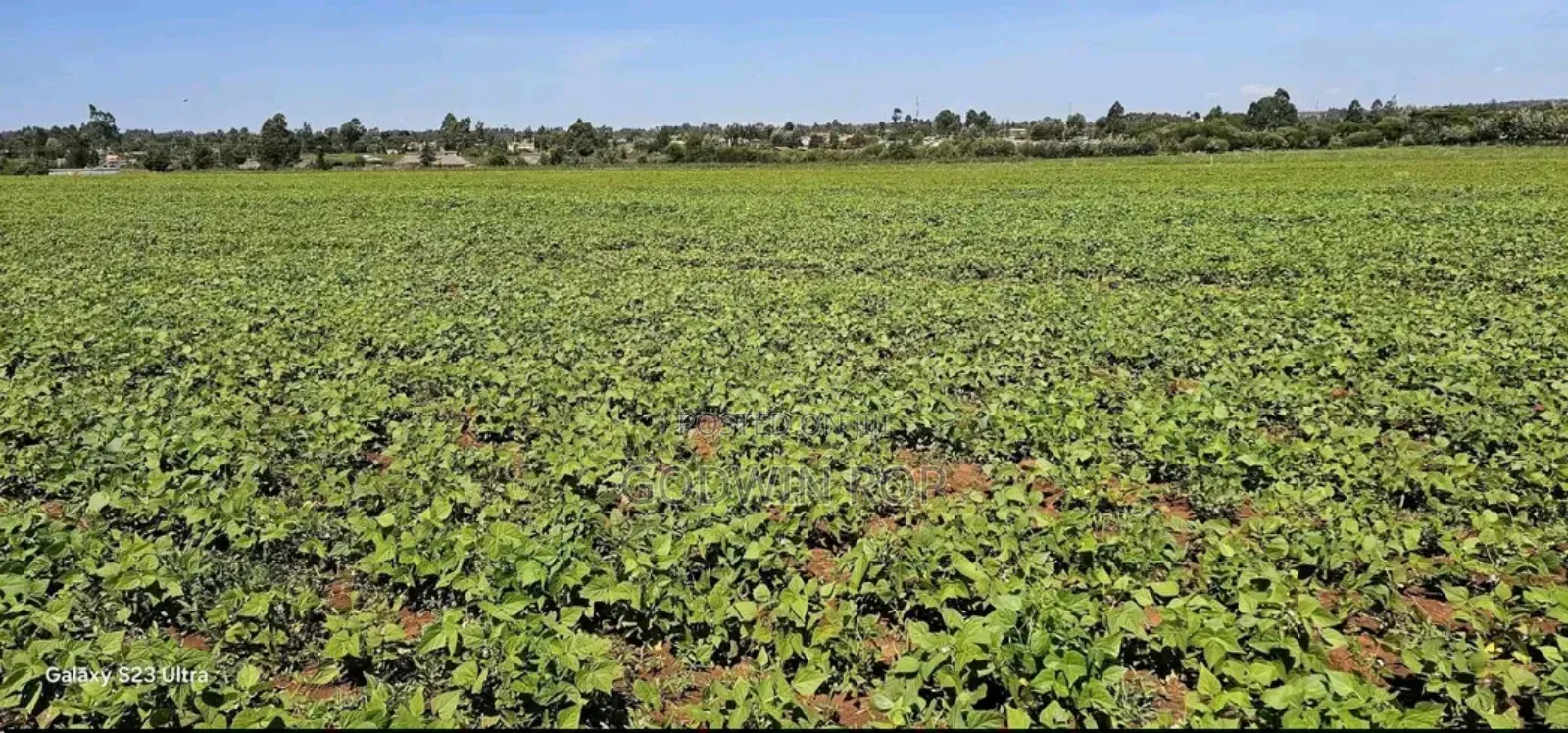 Commercial/Residential Plots for Sale in Marura Eldoret