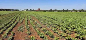 Commercial/Residential Plots for Sale in Marura Eldoret