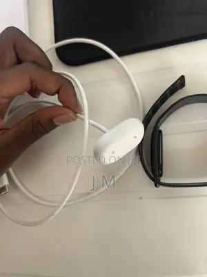 Google Fitbit Air