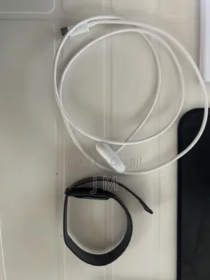 Google Fitbit Air