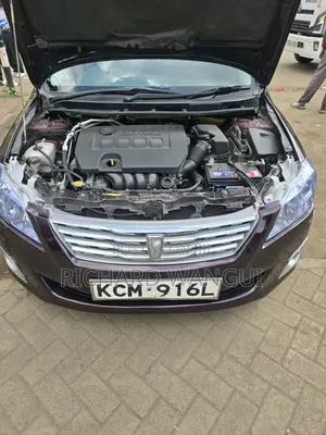 Toyota Premio 2011 Brown