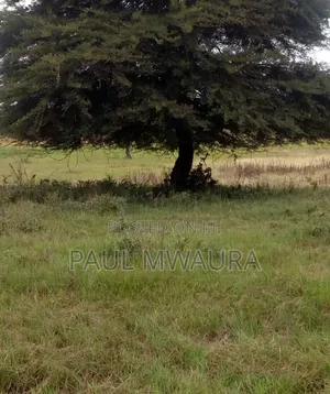 Prime Residential Plot(Murram Ground) in Salama Area Thika