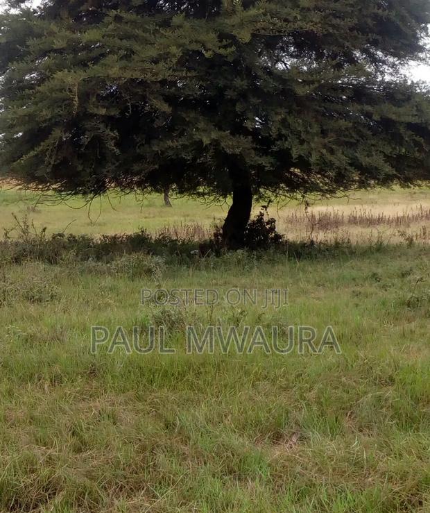 Prime Residential Plot(Murram Ground) in Salama Area Thika - main view
