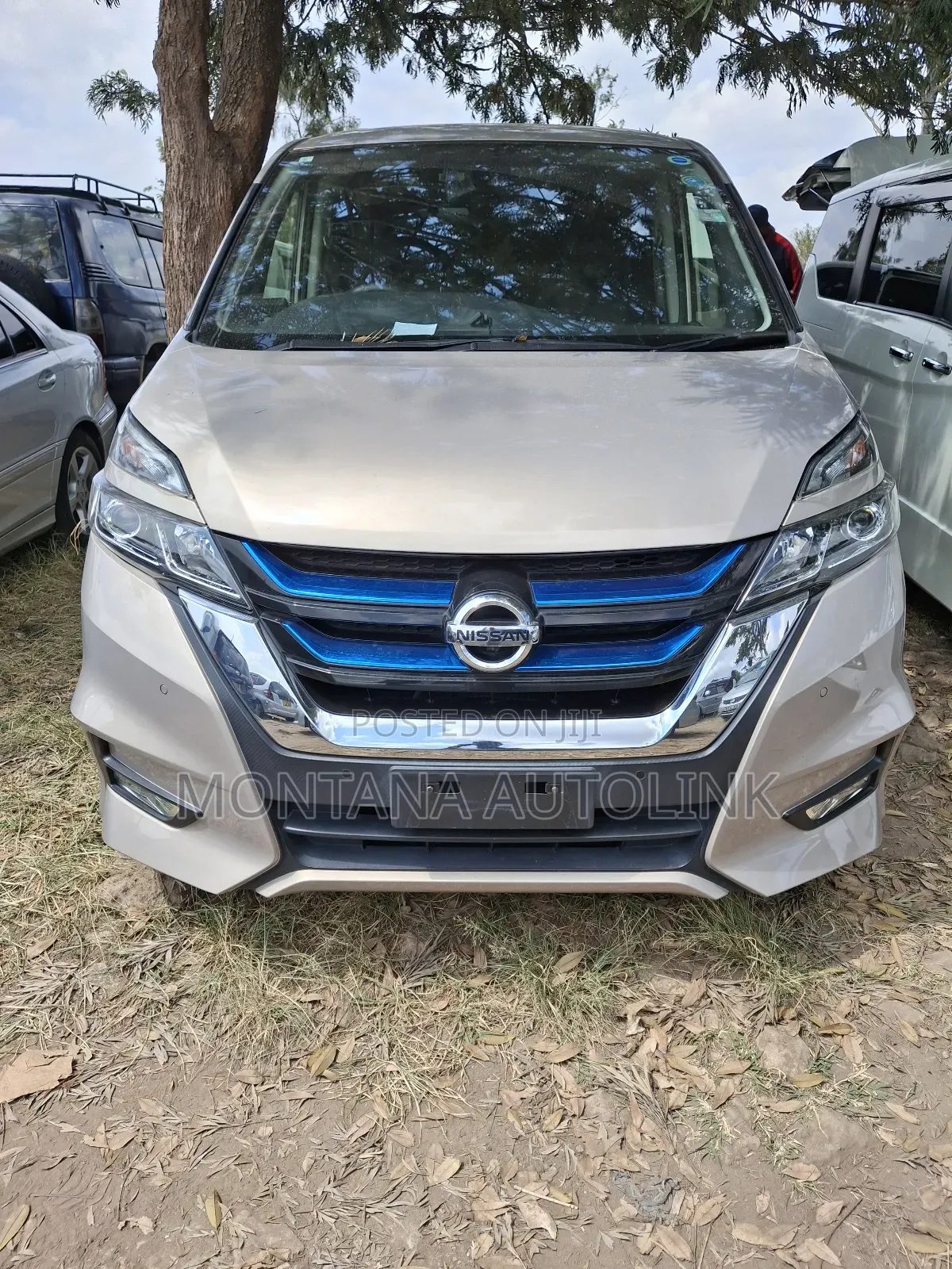 Nissan Serena 2019 Beige