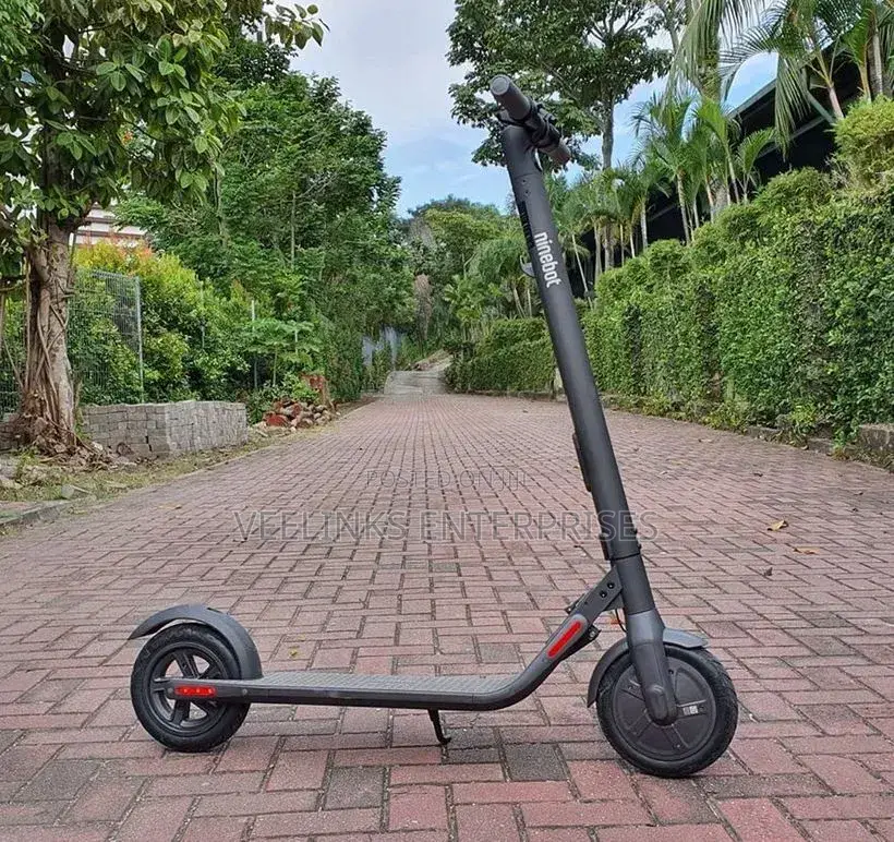 Metallic Scooter,Foldable Metallic Scooter