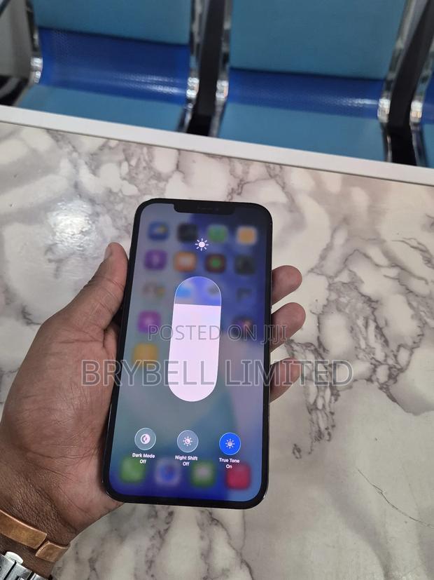 Apple iPhone 12 Pro Max 256 GB Blue - thumbnail 3