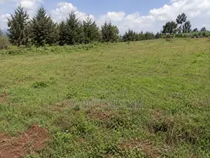 Prime 50*100 Plot for Sale Gichagi Kia Maina Village –Ready Title Deed