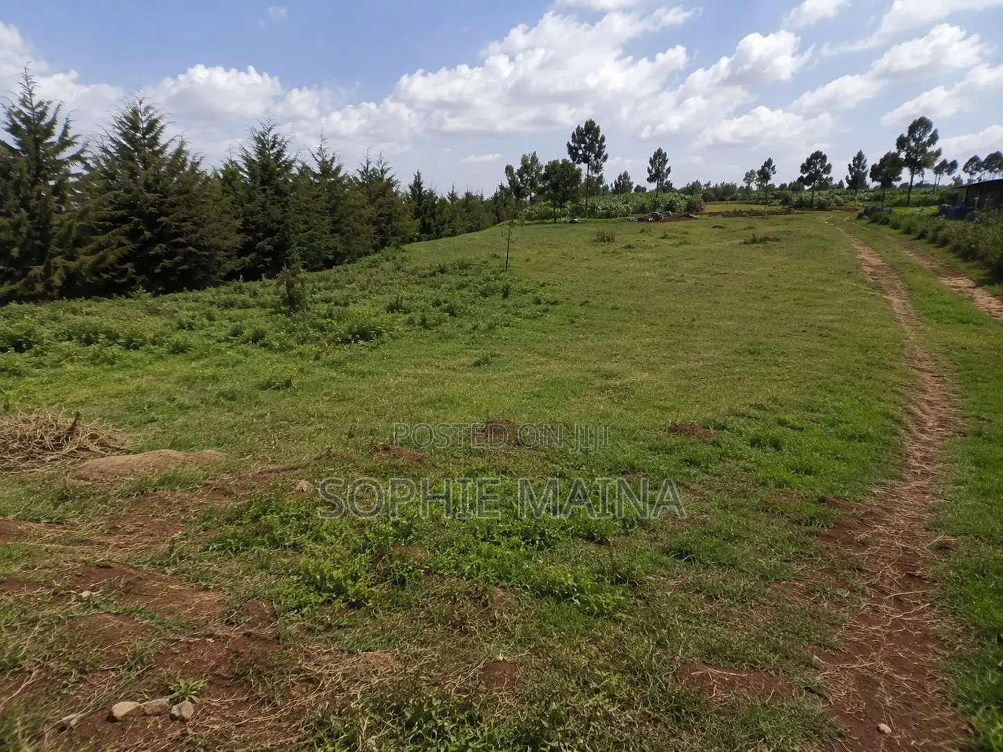 Prime 50*100 Plot for Sale Gichagi Kia Maina Village –Ready Title Deed