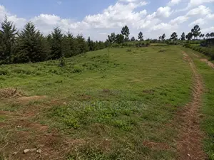 Prime 50*100 Plot for Sale Gichagi Kia Maina Village –Ready Title Deed